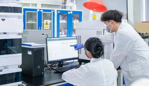 决胜收官 向新而行 主动服务沿沪宁产业创新带建设，推动普陀科创动能澎湃聚势